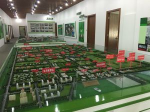 北京种业园与山东省科技厅探讨合作意愿