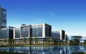 常年求购大面积荒山/林地/